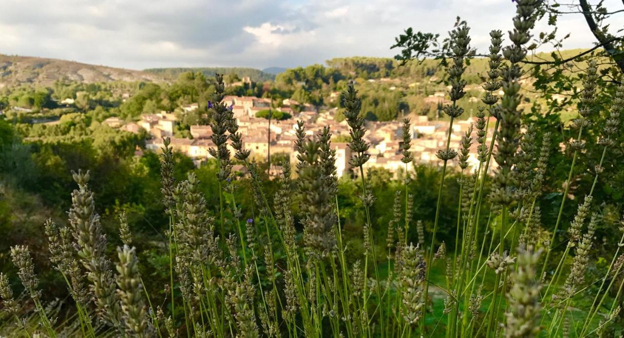 Loft Provencal Salernes