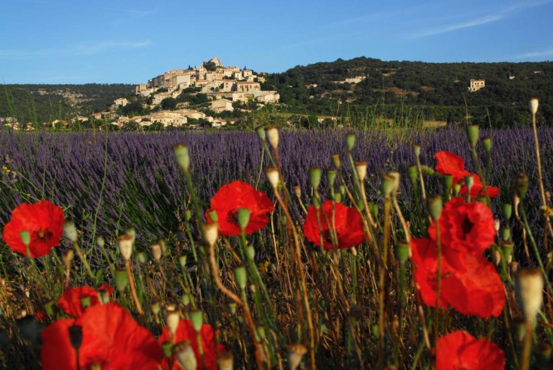 Apartment Loft Provencal Salernes